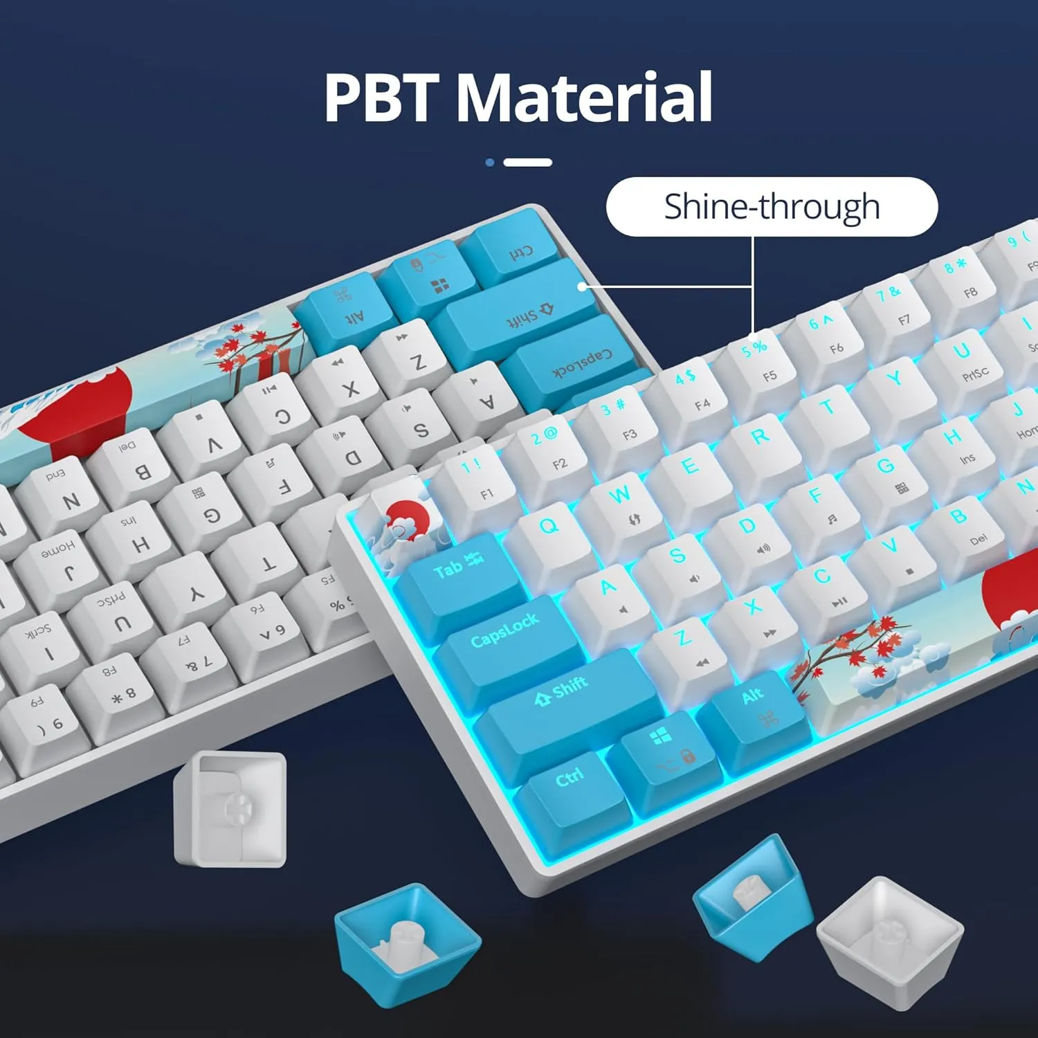 surmen 60% Wired Mechanical Gaming Keyboard, Backlit Ultra-Compact Mini Office Keyboard with Red Switch for PC/Mac Gamer, Typist (61 Blue White)